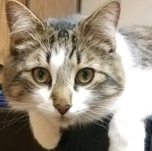 Meet your Posher, Leann